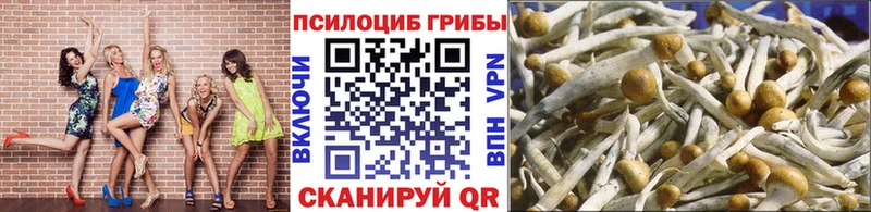 Купить  Магадан  Галлюциногенные грибы Magic Shrooms 